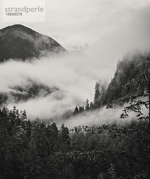 Nebel und Nebel wirbelt durch die Täler der Kaskadenberge