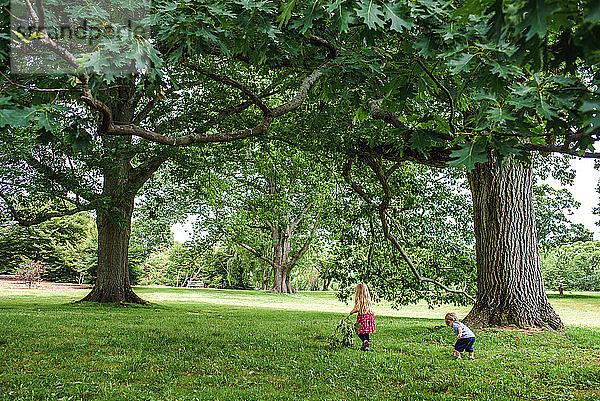 Zwei Kinder gehen unter einigen Bäumen einen Hügel hinauf.
