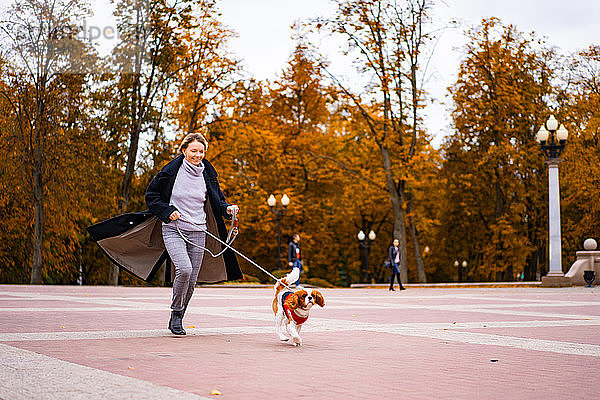 Frau rennt im Park mit einem Hund von Cavalier King Charles Spaniel