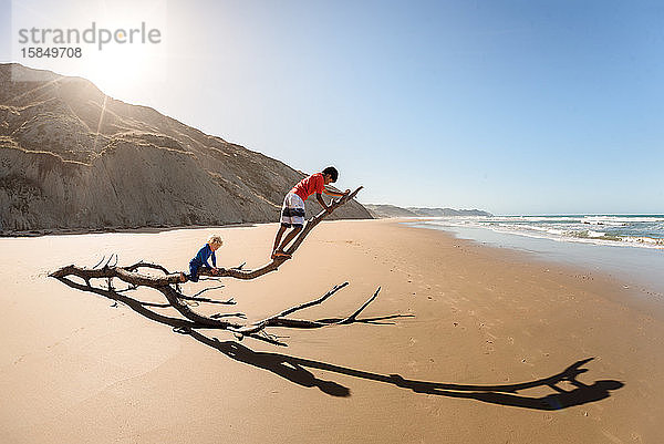 Zwei Brüder klettern auf Treibholz an einem Strand in Neuseeland