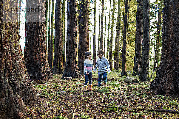 junge Kinder  die im Wald Händchen halten.