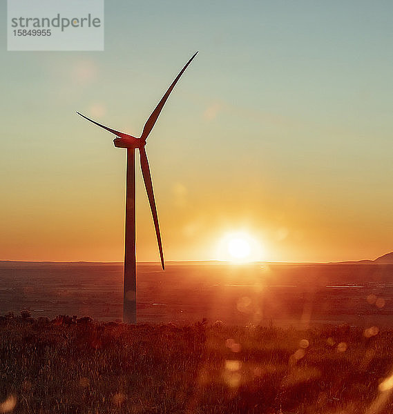 Windturbinen auf dem Feld bei Sonnenuntergang