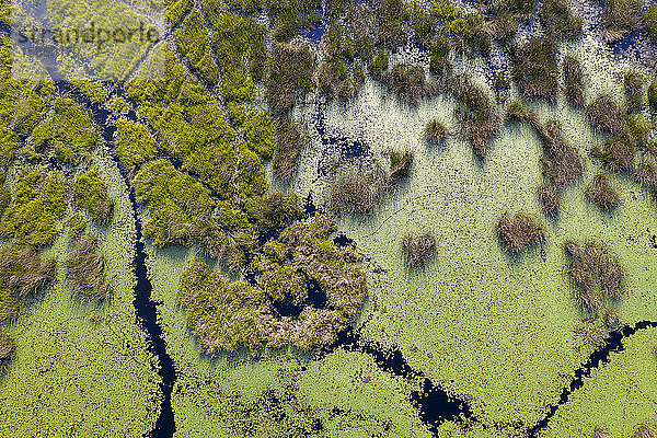 Luftaufnahme eines Sumpfes in Botswana