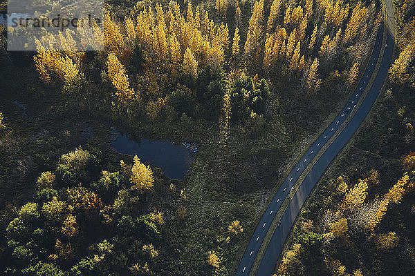 Straße und Teich im Herbstwald