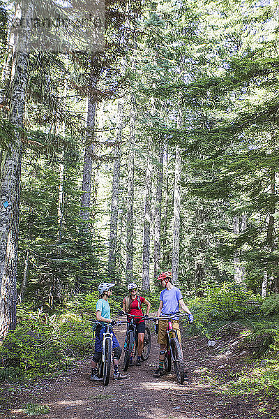 Drei Freundinnen mit dem Mountainbike auf einem Wanderweg am Mt. Hood  Oregon.