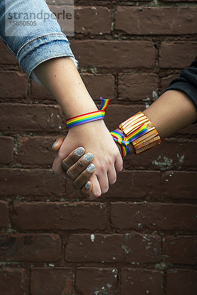 Mehrrassiges schwules Paar hält Händchen in Brooklyn