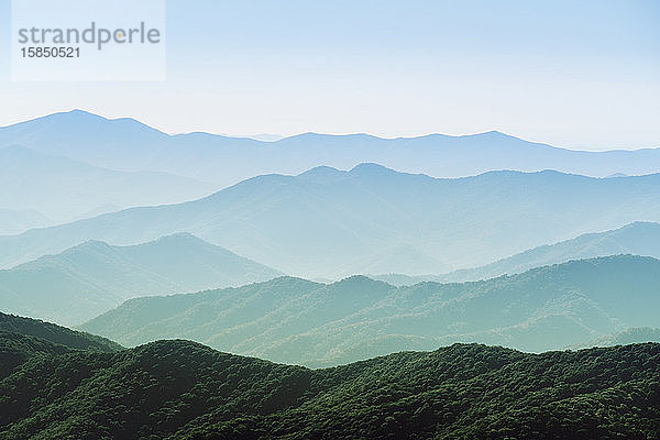 Smoky Mountains National Park  Clingmans Dome  Grenze zwischen North Carolina und Tennessee  Vereinigte Staaten