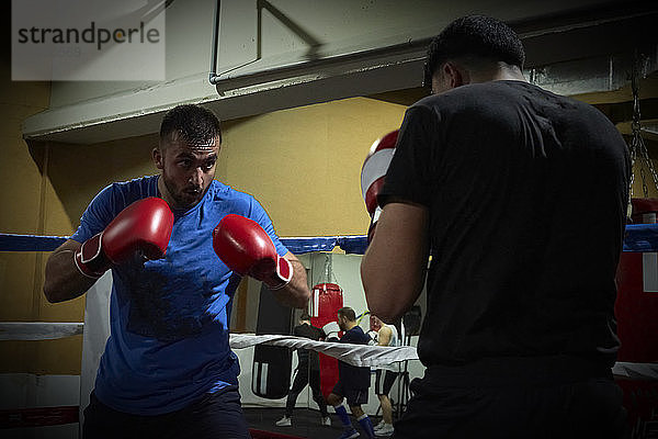 Zwei Boxer trainieren auf einem Ring