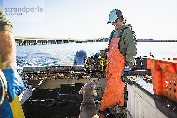 Bootshund beim Aquakultur-Muschelfischen am frühen Morgen