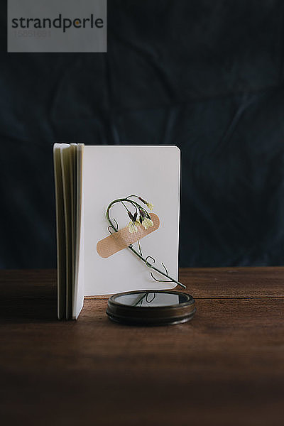 Blume mit einer Bandhilfe in einem Notizbuch und daneben ein Kompass