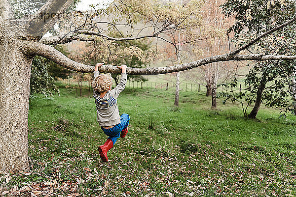 Vorschulkind schwingt sich in Neuseeland von einem Baumast
