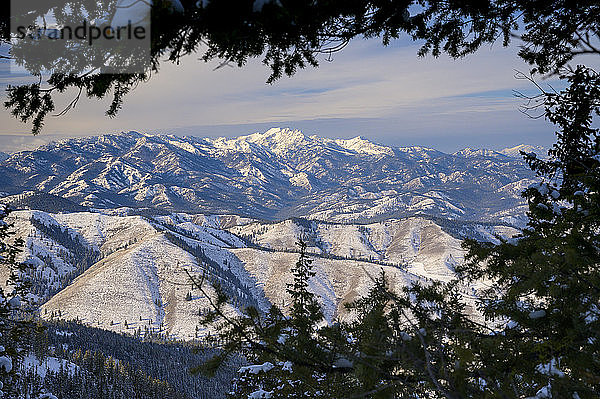 Schneebedeckte  von Baumstämmen eingerahmte Berge