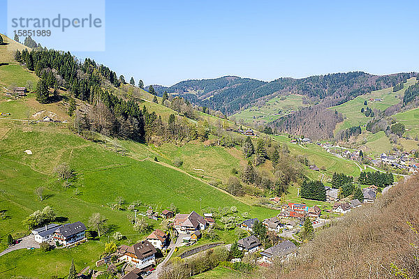 Gebirgslandschaft im oberen MÃ¼nster Tal im zeitigen Frühjahr  Breisgau-Hochschwarzwald  Baden-WÃ¼rttemberg  Deutschland