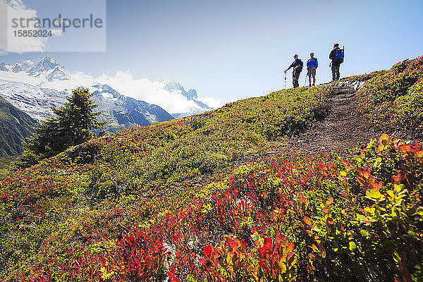 Die Palette des Mont Blanc reicht von der Aiguillette des Posettes mit Heidelbeerpflanzen  die sich im Spätsommer färben.