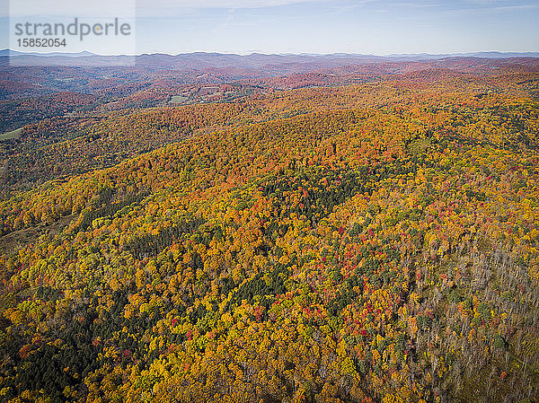 Herbstlaub aus der Luft gesehen in der Nähe von Quechee  Vermont.