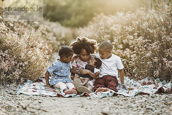 Vier glückliche Geschwister sitzen gemeinsam auf einer Decke im hinterleuchteten Feld