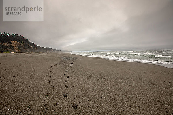 Fussspuren im Sand  Gold Bluffs Beach State Park