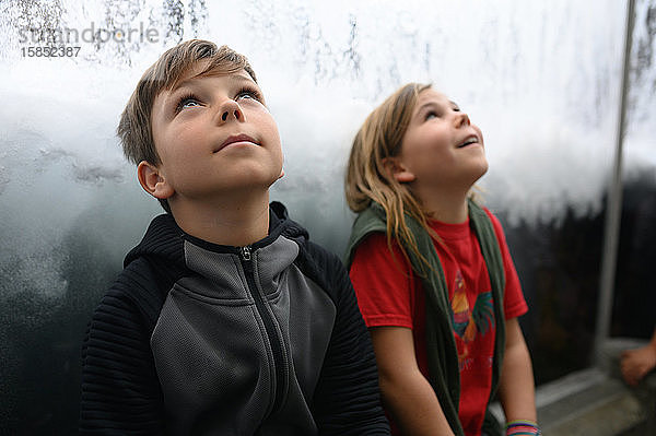 Zwei sitzende Kinder  die neugierig in den Himmel schauen