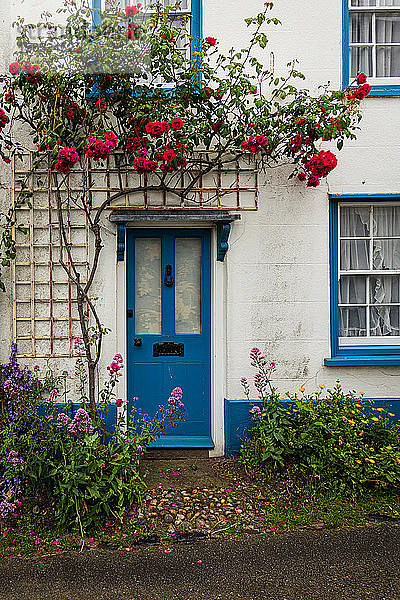 Eine blaue Tür unter einem Blumengitter in einem Dorf in Norfolk