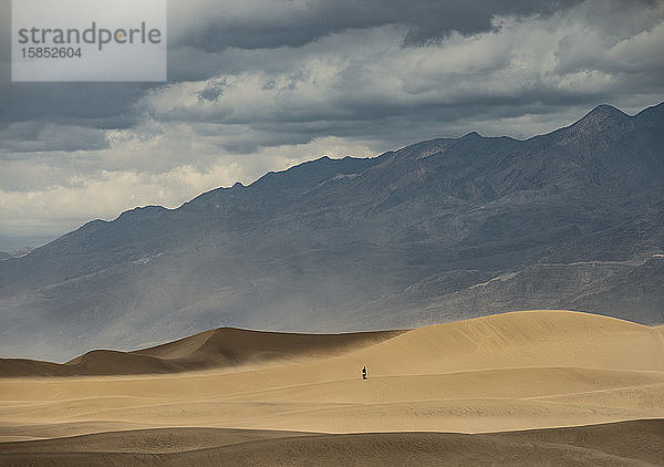 Die ausgedehnten Wüsten und Formationen des Death Valley Nationalparks in