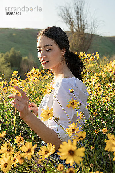 Hübsche Brünette hält Blume in gelben Blumenfeldern und Sonnenschein