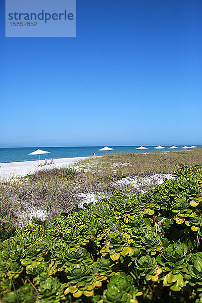 Blick über die Golfküste Florida Beach