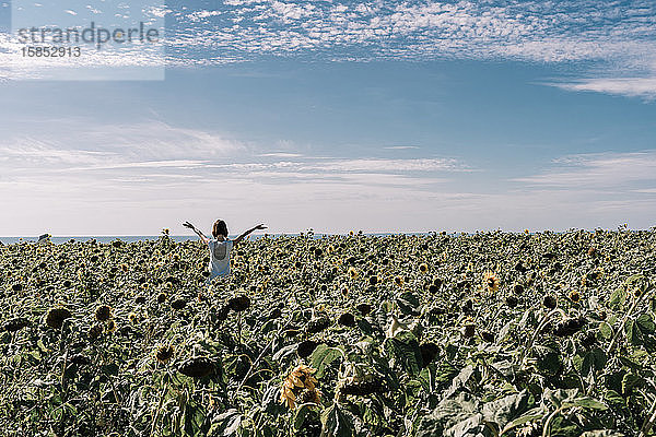 Glückliche Frau im Sonnenblumenfeld mit erhobenen Armen