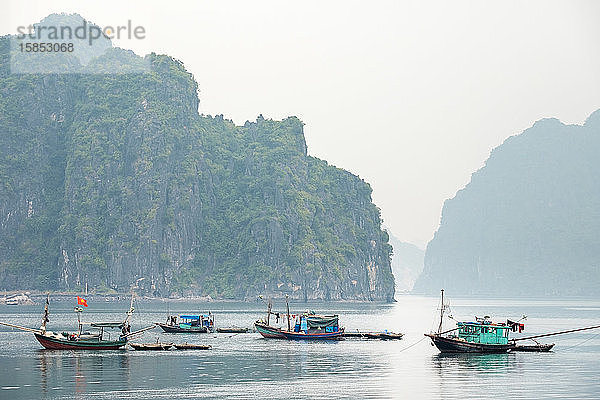 Boote in der Ha-Long-Bucht  Quang Ninh  Vietnam