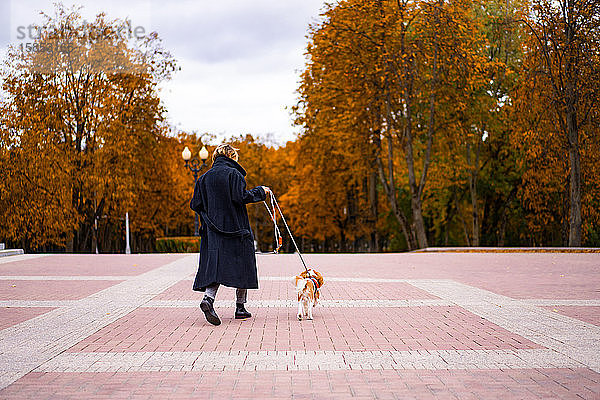 Eine Frau geht mit einem Cavalier King Charles Spaniel im Park spazieren.