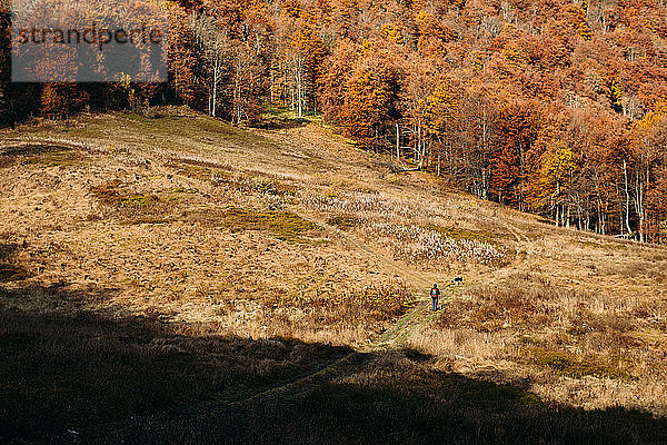 Mann und Hund wandern durch ein großes Feld mit Herbstwald