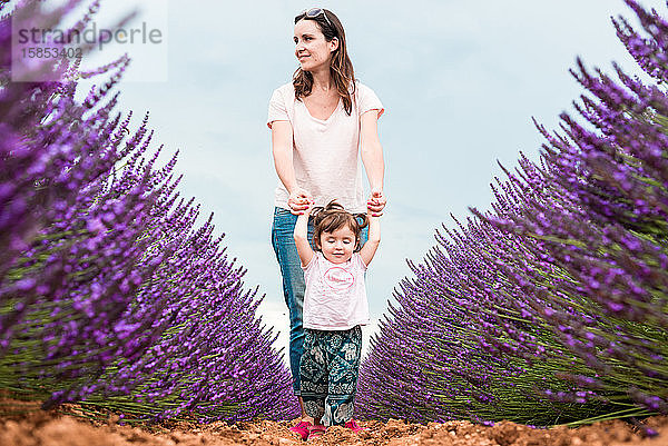 Glückliche Mutter und Tochter spazieren im Sommer zwischen Lavendelfeldern