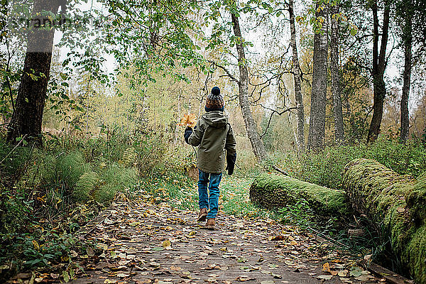 Junge  der mit bunten Herbstblättern im Wald spazieren geht