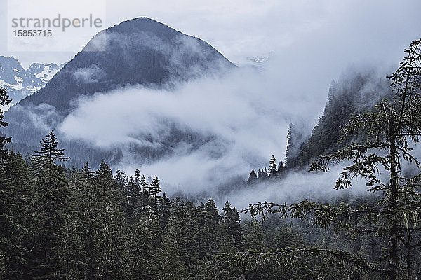 Nebel und Nebel in den Tälern des North Cascades Nationalparks Washington