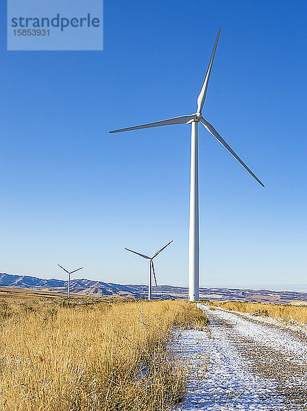 Windturbinen in einem Feld mit blauem Himmel