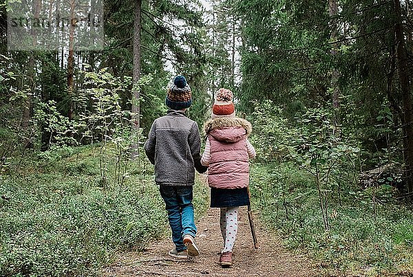 Bruder und Schwester gehen im Herbst an den Händen haltend durch den Wald