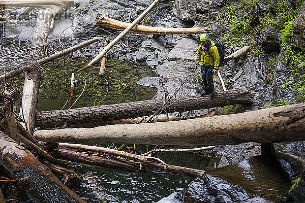 Wanderer balanciert auf gefallenem Baumstamm neben Frost Creek  B.C.  Kanada.