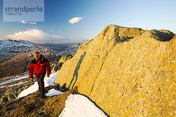 Ein Wanderer geht an flechtenbedeckten Felsen am Great Carrs oberhalb von Wrynose im Lake District  Cumbria  Großbritannien  vorbei und schaut in Richtung Crinkle Craggs und Bow Fell.