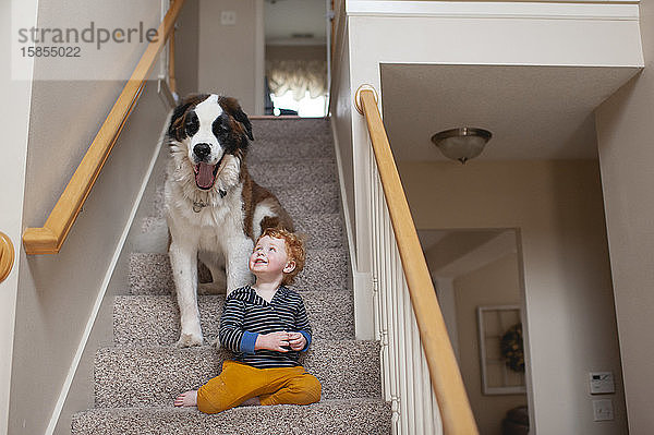 Junge im Alter von 2 bis 3 Jahren auf Stufen sitzend mit großem Hund  der zu Hause gähnt