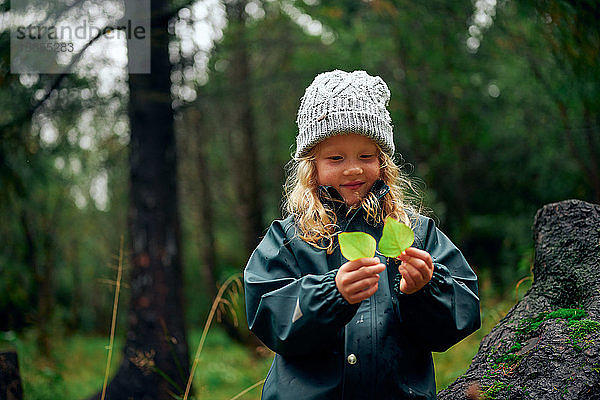 Charmantes Mädchen mit warmem Hut hält grüne Blätter im Wald