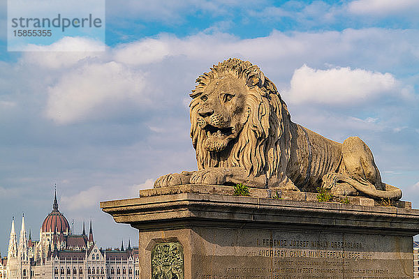 Der Löwe von der Kettenbrücke mit dem Regierungspalast in Pest