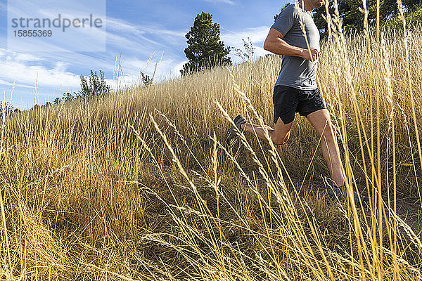 Mann rennt auf dem Bear Canyon Trail in Boulder  Colorado  an hohem Gras vorbei