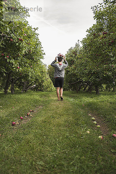Teenager  der in einem Apfelgarten einen Sack Äpfel auf dem Kopf balanciert.