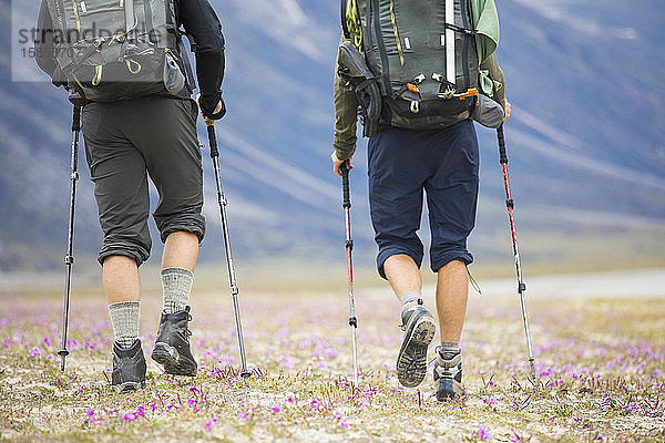 Rückansicht von zwei Rucksacktouristen  die durch eine Wildblumenwiese wandern.