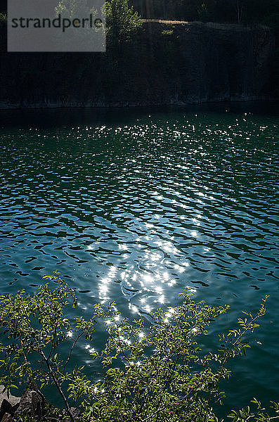 Sonnenblendung auf dem Wasser und den Pflanzen