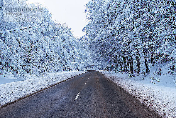 Straße im Winter. Landstraße durch Wald. Reisekonzept.