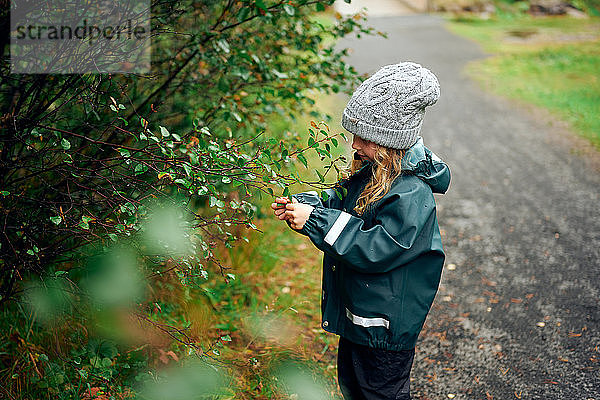 Begeistertes Mädchen in warmer Kleidung  das Beeren vom Baum im Wald berührt