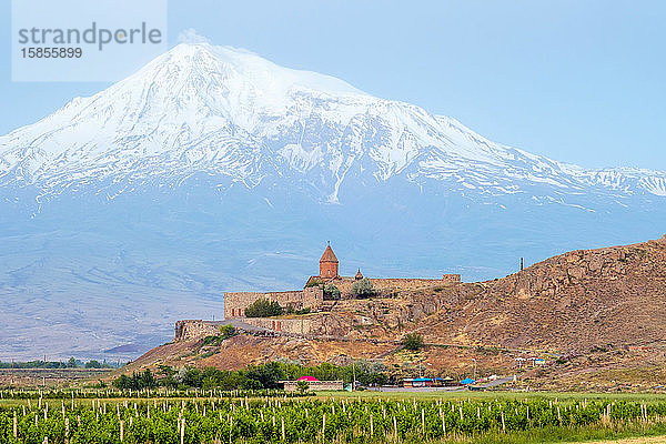 Khor-Virap-Kloster und Berg Ararat  Ararat-Provinz  Armenien