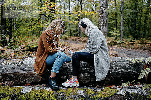 Zwei junge Erwachsene sehen sich in einem abgelegenen Wald ein Video auf einem Smartphone an