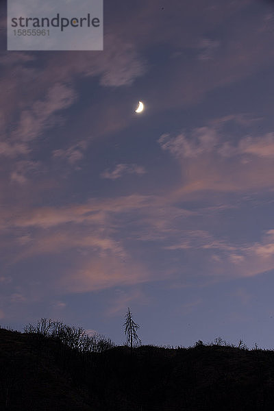 Mondaufgang und sanfter Sonnenuntergang Waldsilhouette