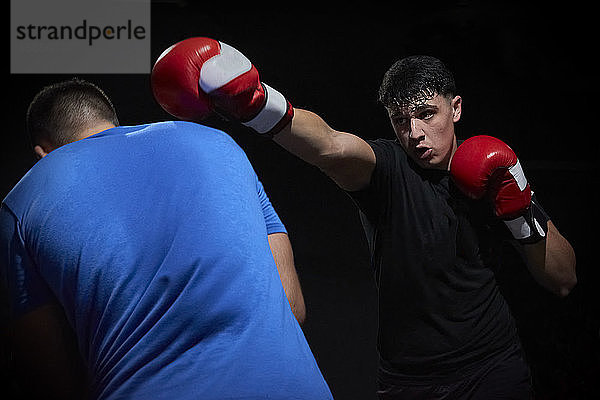 Zwei Boxer trainieren auf einem Ring